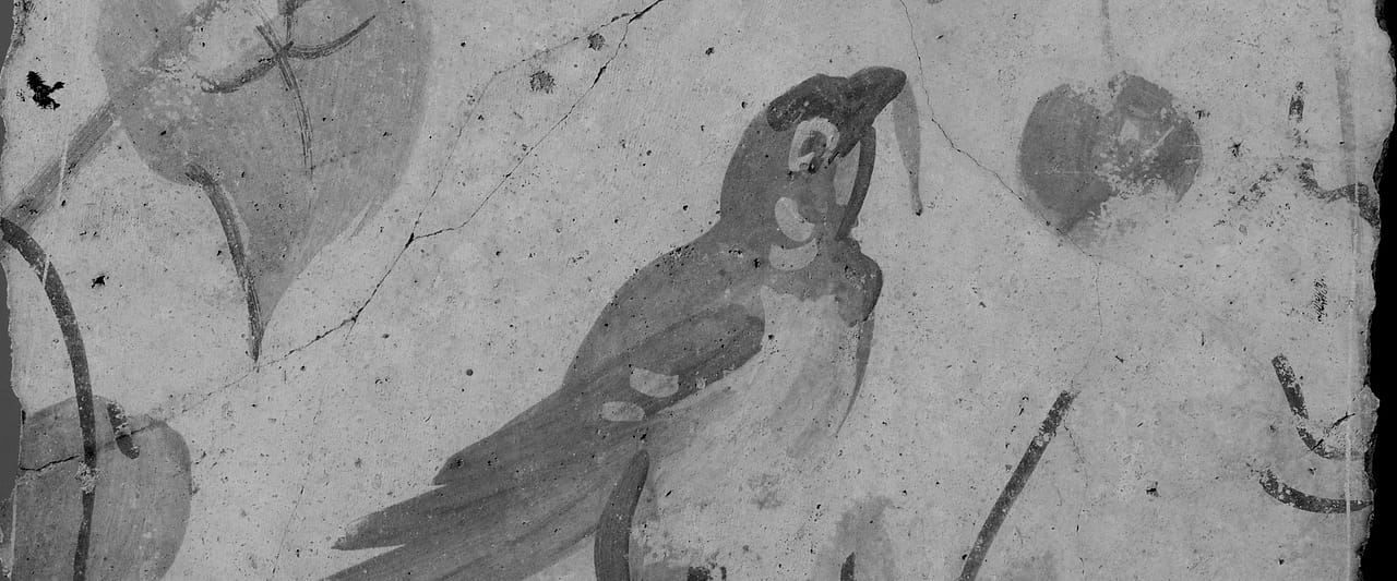 A fragment of Roman wall painting, the plaster cracked and the pigment faded.